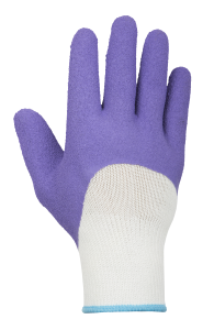 Gants ROSIERS violet T7